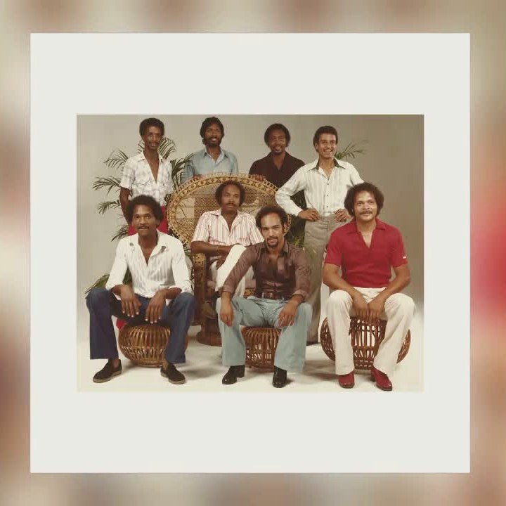 We Want to Play album cover (1981)